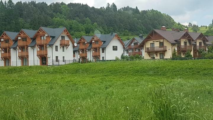 Apartamenty Homole Apartament D5 Szczawnica Buitenkant foto